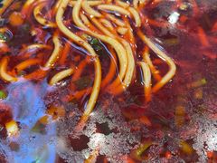 -有礼有面(知春路店)