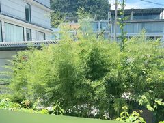 -生态苑农庄(十里画廊遇龙河店)