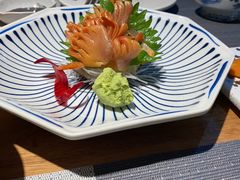 -森味薪火烧•烧鸟居酒屋•日本料理(望京店)