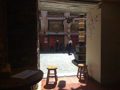 -古树酸奶(八廓南街店)