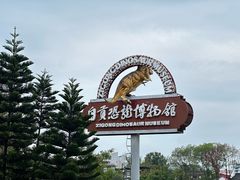 -自贡恐龙博物馆