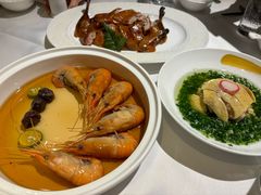 -圆苑(金茂店)