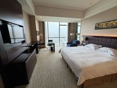 -上海浦东国际旅游度假区绿地铂骊酒店