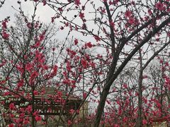 -爱彼格林珑悦幼儿园