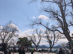 -新白鹿餐厅(龙游路店)