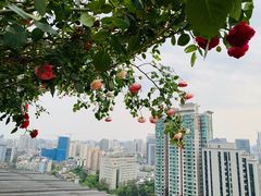 -萨芭蒂高空花园餐酒吧