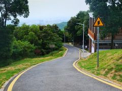 -黄埔油麻山森林公园