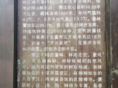 -武陵山森林公园