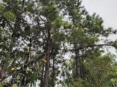 -范蠡湖公园
