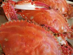 -大锅强·蒸海鲜青岛菜(吾悦广场店)