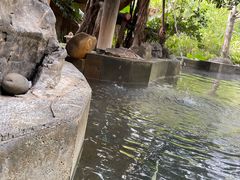 -昆明柏联SPA温泉