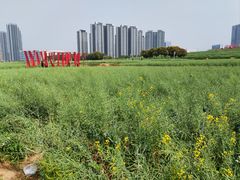 -光明小镇欢乐田园