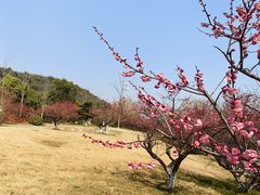 -杭州灵山景区