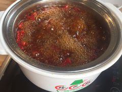 -珍巴奴毛肚牛肉小火锅(四惠店)