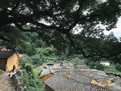 -杨家堂村