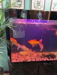 -尚逸男士理发馆·专注男发