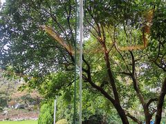 -浙江西子宾馆·瑶园咖啡厅