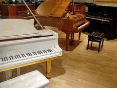 -柏斯音乐艺术中心·钢琴·吉他(世纪金源店)