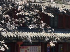 -永旺梦乐城国际商城(北清路店)