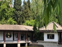 -团结湖公园