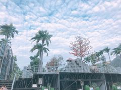 -三亚红色娘子军演艺公园景区