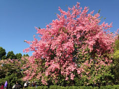 iphone_upload_pic-广州大学(桂花岗校区)