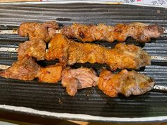 烤羊肉串-塔哈尔·新疆盛宴(复地活力城店)