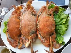 -Rimpa Lapin悬崖餐厅