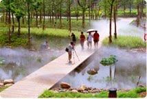 -苏州河梦清园环保主题公园