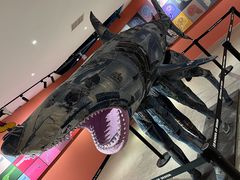 -辰熙ACX星海艺术中心