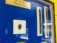 -上海昆虫博物馆