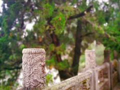 -紫金山天文台