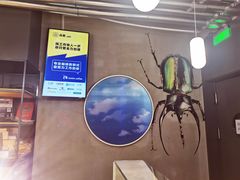 -Green Option(官舍店)