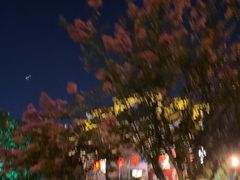 -不倒翁·徽天下名菜楼(马鞍山路店)