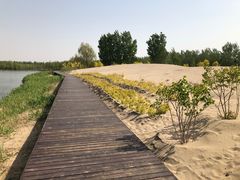 -东郊湿地公园