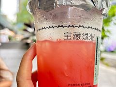 -宝藏绿洲(万象前海店)