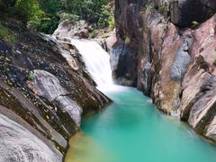 -广州白江湖森林公园