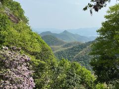 -莫干山风景区