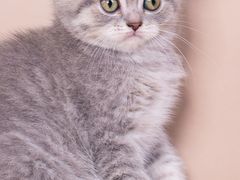 -万达广场(盐城盐都店)