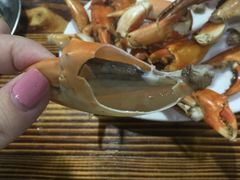 -老伯蟹脚店(朝阳路店)