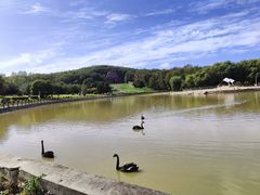 -哈尔滨北方森林动物园