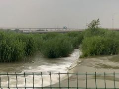 -绿堤公园