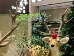 -大书房咖啡(中传国交店)