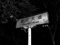 -武汉大学-樱园