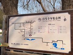 -洛阳白马寺