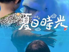 -泉城欧乐堡海洋极地世界