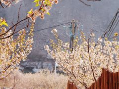 -崂山九水游览区