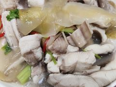 小鲨鱼-抱德·潮汕味(敦和店原惠城鱼仔)