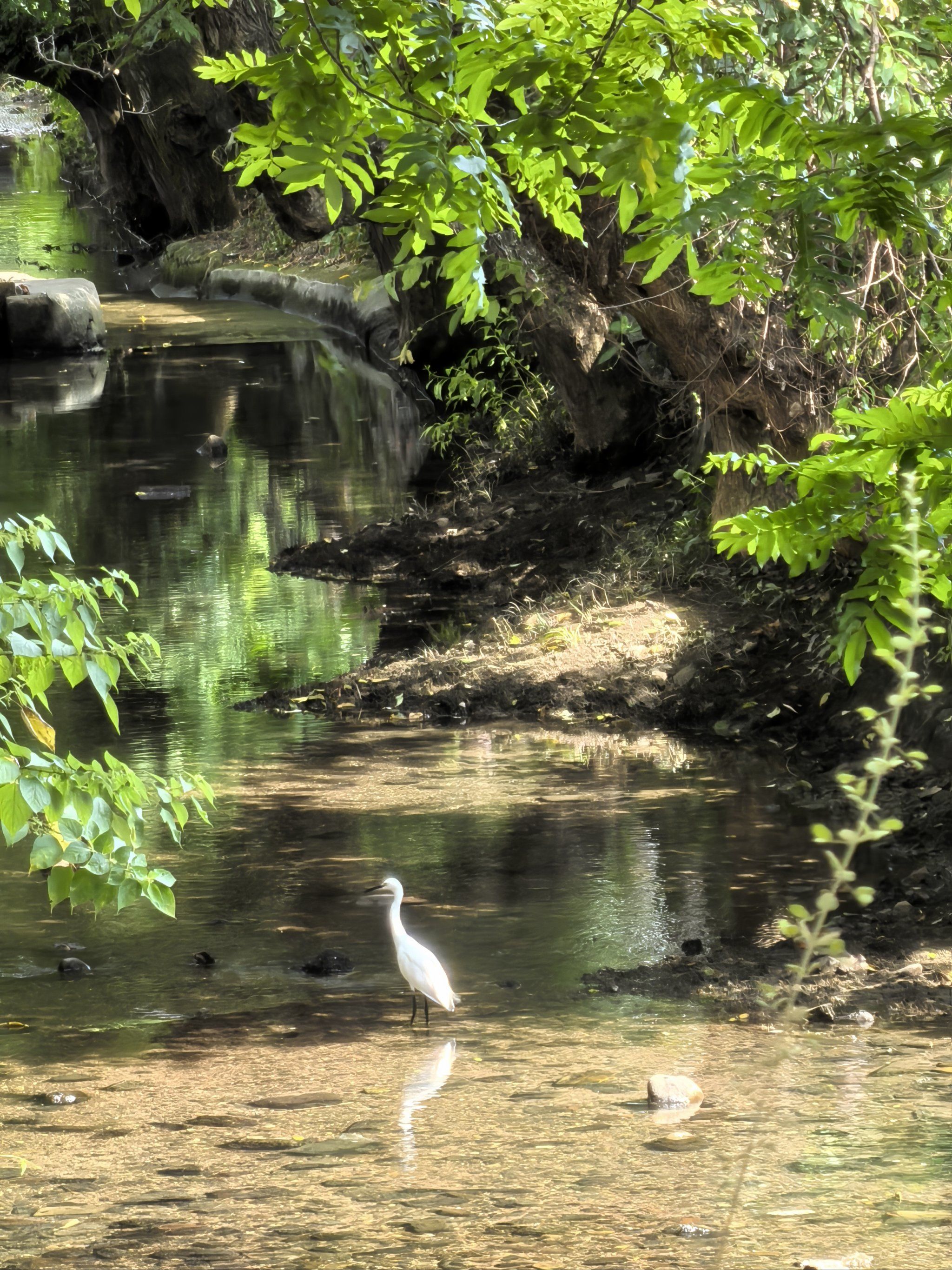 溪水潺潺伴我行