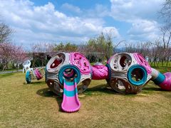 -福建鲤鱼洲酒店